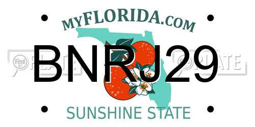 BNRJ29 Florida License Plate