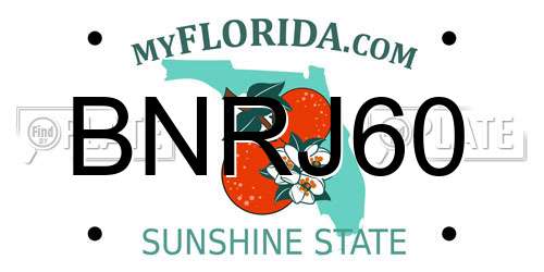 BNRJ60 Florida License Plate