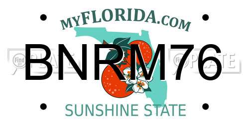 BNRM76 Florida License Plate