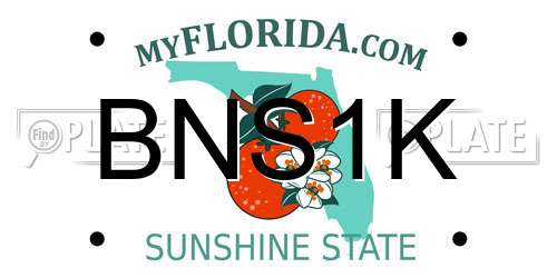 BNS1K Florida License Plate
