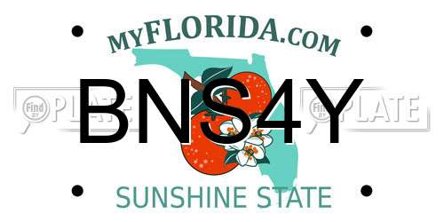 BNS4Y Florida License Plate