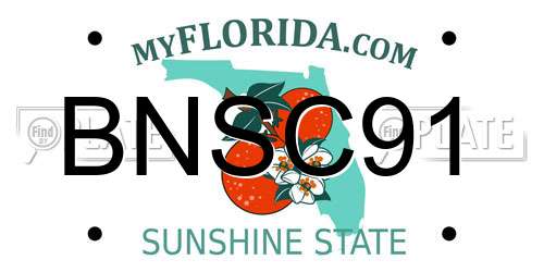 BNSC91 Florida License Plate