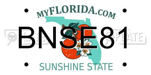 BNSE81 Florida License Plate