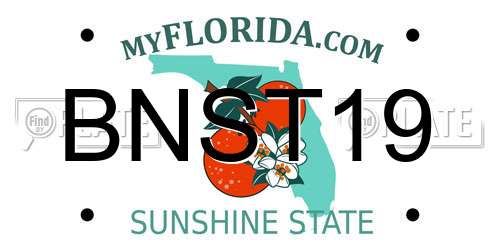 BNST19 Florida License Plate