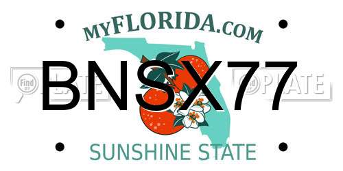 BNSX77 Florida License Plate
