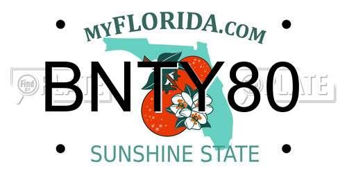 BNTY80 Florida License Plate