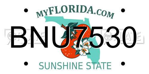 BNU7530 Florida License Plate