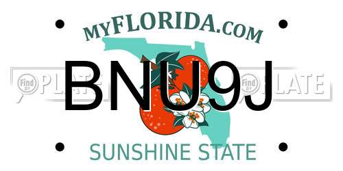 BNU9J Florida License Plate