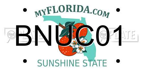 BNUC01 Florida License Plate