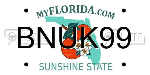 BNUK99 Florida License Plate
