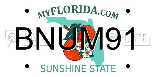 BNUM91 Florida License Plate