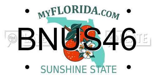 BNUS46 Florida License Plate