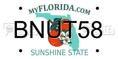 BNUT58 Florida License Plate