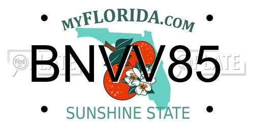 BNVV85 Florida License Plate