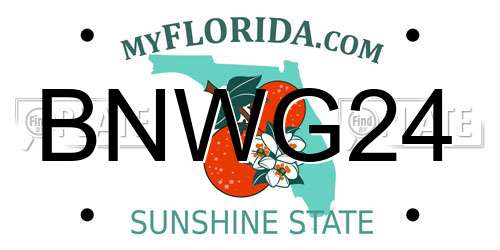 BNWG24 Florida License Plate