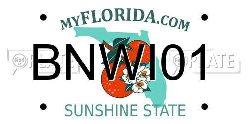BNWI01 Florida License Plate