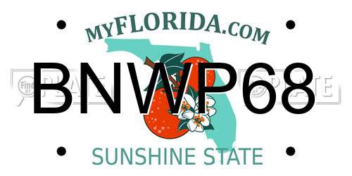 BNWP68 Florida License Plate