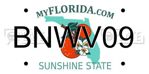 BNWV09 Florida License Plate