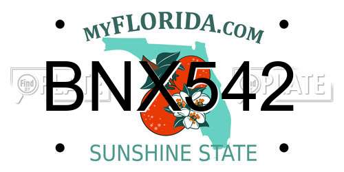 BNX542 Florida License Plate