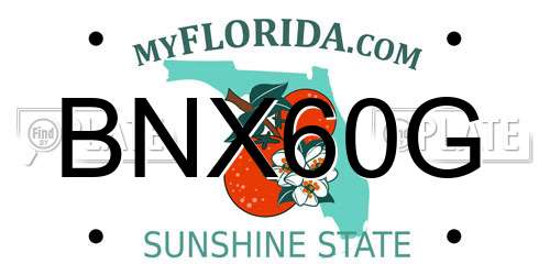 BNX60G Florida License Plate