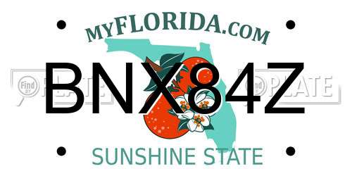 BNX84Z Florida License Plate