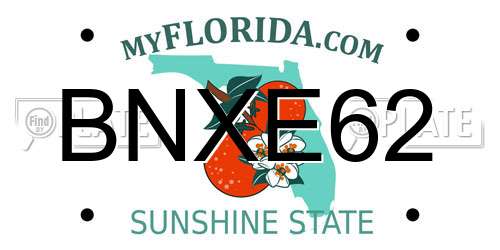 BNXE62 Florida License Plate