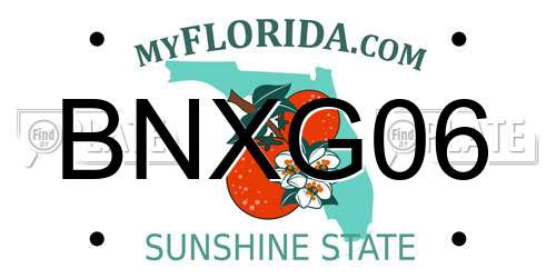 BNXG06 Florida License Plate