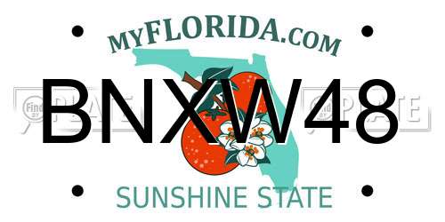 BNXW48 Florida License Plate