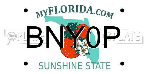 BNY0P Florida License Plate