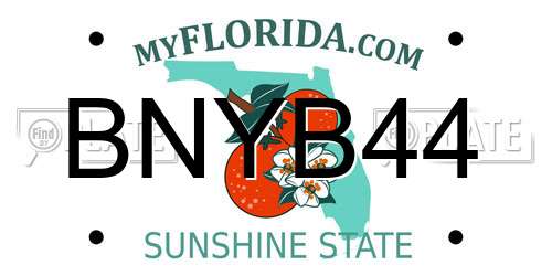 BNYB44 Florida License Plate