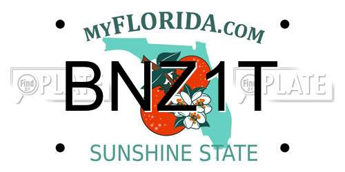 BNZ1T Florida License Plate