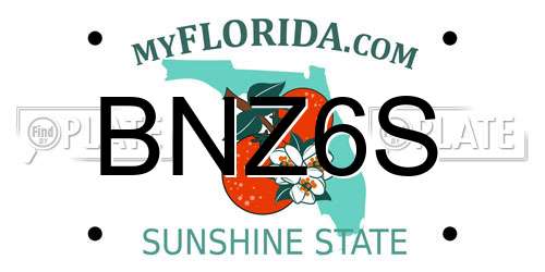 BNZ6S Florida License Plate