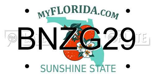 BNZG29 Florida License Plate