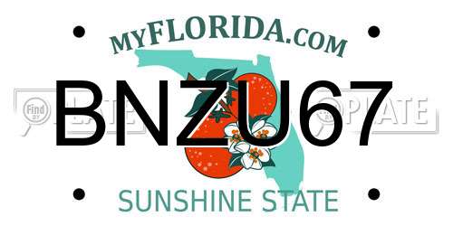 BNZU67 Florida License Plate