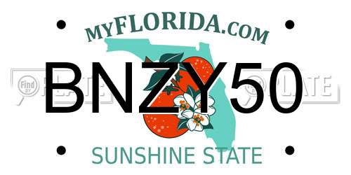 BNZY50 Florida License Plate