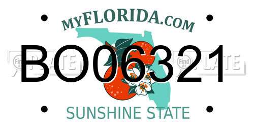 BO06321 Florida License Plate