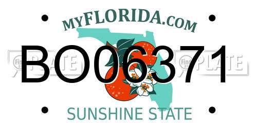 BO06371 Florida License Plate