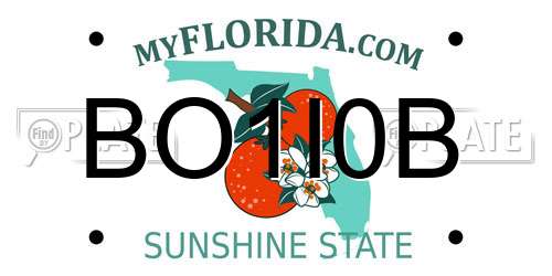 BO1I0B Florida License Plate