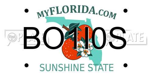 BO1I0S Florida License Plate