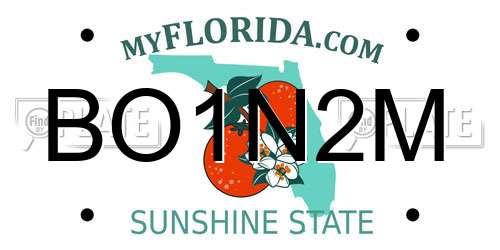 BO1N2M Florida License Plate