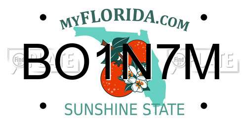 BO1N7M Florida License Plate