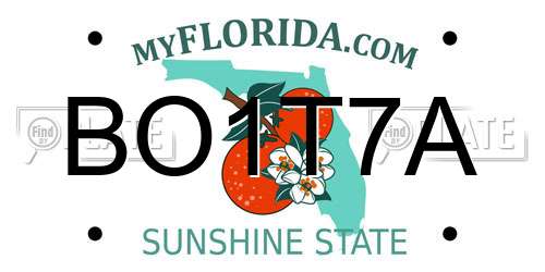 BO1T7A Florida License Plate