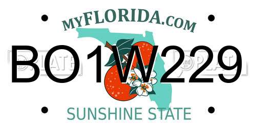 BO1W229 Florida License Plate