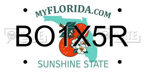 BO1X5R Florida License Plate