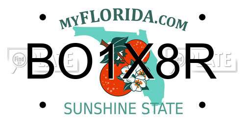 BO1X8R Florida License Plate