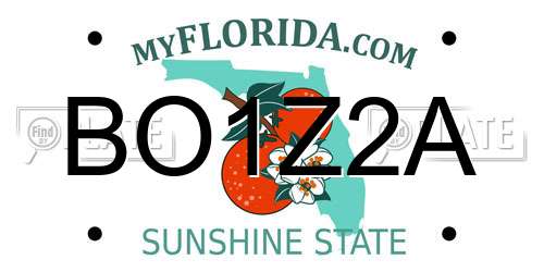BO1Z2A Florida License Plate