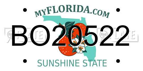 BO20522 Florida License Plate