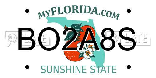 BO2A8S Florida License Plate
