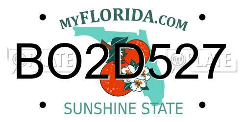 BO2D527 Florida License Plate