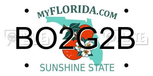 BO2G2B Florida License Plate